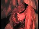 Amazon Tree Boa Strikes and Constrict Pinkie Amazon Tree Boa Strikes and Constrict Pinkie