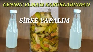 CENNET ELMASI KABUKLARINDAN SİRKE YAPALIM