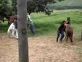 Foto v�deo