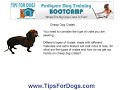 Cheap Dog Crates