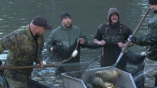 Náhled - Výlov Křemačáku 2025