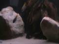 videos de 160L Malawi