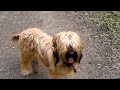 Click here to watch this video 2012-04-14-129.mp4