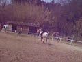 cso miramas lison et india
