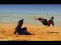 lincah-montaj