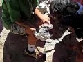 Dinosaurs Rock Fossil Dig - Geodes