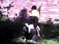 minijackass