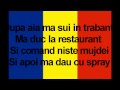 Adn - Sprei Cu versuri pe ecran!
