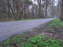 Saab 900 Turbo with 2,5\" Simons exhaust 2 Saab 900 Turbo with 2,5\" Simons exhaust 2