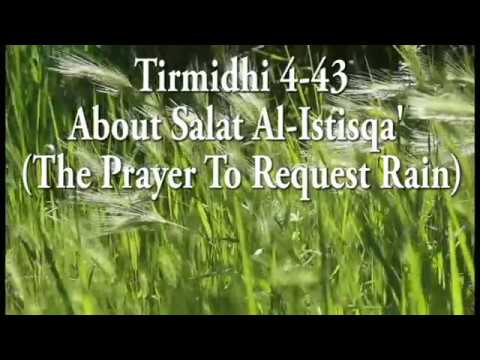 Tirmidhi 4-43: About Salat Al-Istisqa' (The Prayer To Request Rain)