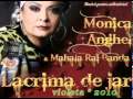 MONICA   ANGHEL----Lacrima de jar - videoclip