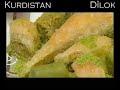 Gazi Antep Şehri Tanıtım | Dîlok Bajarek Zeugma(Dîrokî) | Kurdish Zeugma City Antep