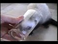 Illern Beppe dricker saft Illern Beppe dricker saft
