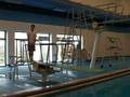 Springboard Diving Techniques : The 5 Step Approach Demonstration