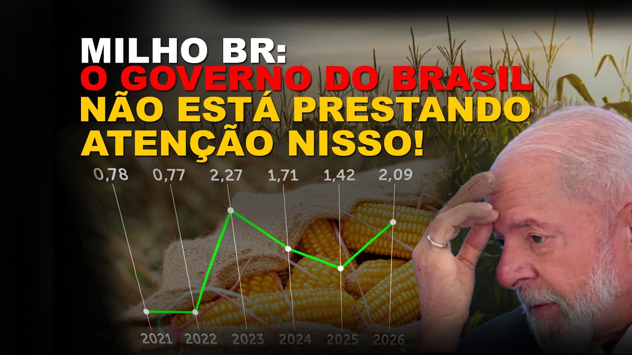 MILHO: QUER UMA INFORMAÇÃO PORRETA, DAQUELAS QUE MEXEM COM O SEU BOLSO?