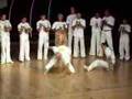 contra master capoeira grading