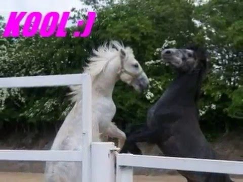 Sex xxx hors, pornstar spreading pussy