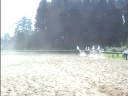 Quadrille Part 2