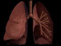 RESPIRATION