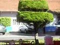 corredor artesanal  metepec