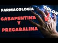 The Best 21 Gabapentin 400 Mg Para Que Sirve