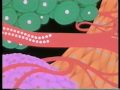 La Fisiologia (parte 1/2)