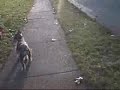 walking wWe r/\\nt 2 walking wWe r/\\nt 2