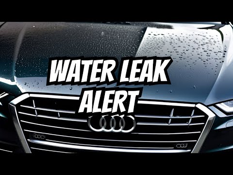 Audi A6 4.2, 2.7, 2.8 VW Passat Water Leak on the Passenger side andTransmission not shifting.