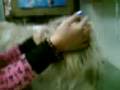 videos de ( shih tzu puppy ) chamel 2nd stud with sassy 01/08/09 (part 1-1)