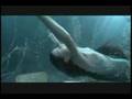 Assistir ao v�deo