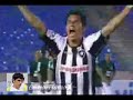 Estrelas do Fogão!!!