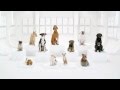 Pub Star Wars Volkswagen 2012 : The Bark Side