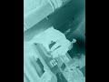 IMG 0019