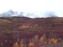 Telluride Colorado ski packages Telluride Colorado ski packages