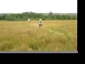 quad-skiing.html
