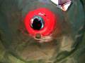 videos de Pharaoh in Tunnel vid 111108.AVI