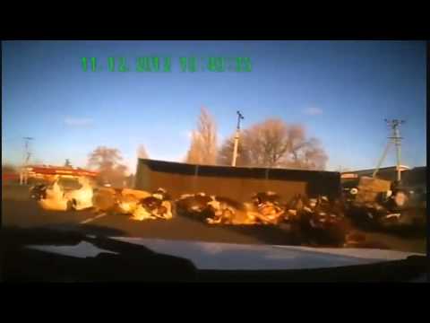 original channels rollout - Also in slow-motion! Russian truck driver fails to drive and crashes with cows in his trailer. Incredibly funny and crazy!! Truck carrying loads of cows flip...