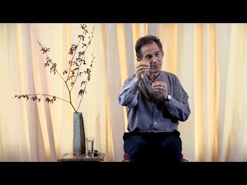 Rupert Spira Video: Using Mantra Meditation As A Tool For Integration