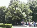 IASI - Orasul pe 7 Coline (The town of the 7 hills)