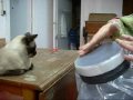 Cómo hacer un tambor en 30 segundos (casi).wmv