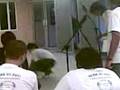 videos de Amateur Hip Hop Dance