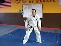 Nihon Goshin Aikido