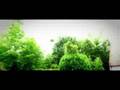 David Latour One Day Official Music Video and Lyrics
