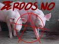 fOtos antifas/nazi cabrOn