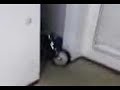 Saw 5 Trailer