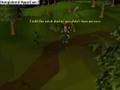 The Witch Doctor RSMV