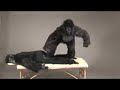 massage massage