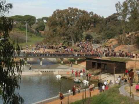 Imagen de previsualización de YouTube