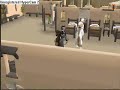 twizz 10 vs. Twizz 11