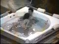 gh5 jr77 flor javi en el jacuzzi 3/5